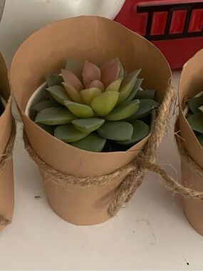 6 Mini Faux Succulent in Kraft Paper Pot - Green & Pink